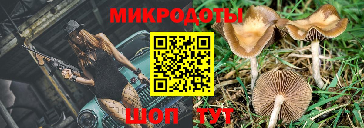 Псилоцибиновые грибы GOLDEN TEACHER  купить наркотик  Псилоцибиновые грибы GOLDEN TEACHER  Шарыпово  Вход с VPN 